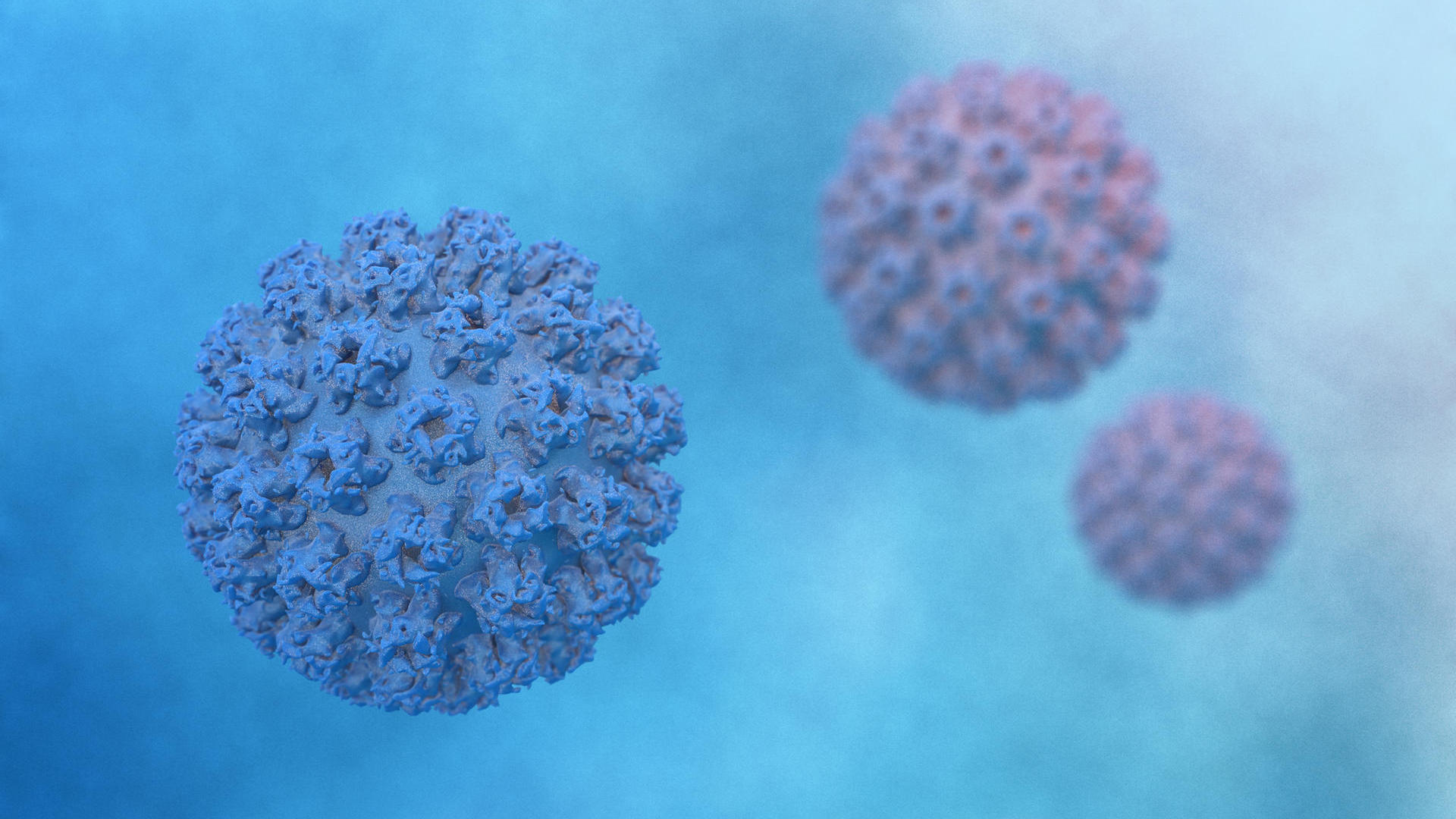 Prostate cancer - HPV can cause prostate cancer - new findings