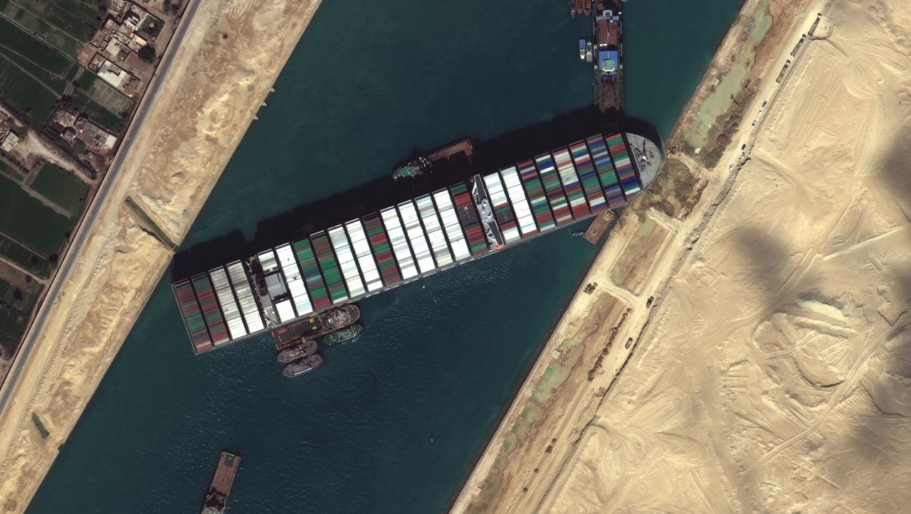 The Suez Canal: 130,000 sheep stuck - animal rights activists warn of a disaster