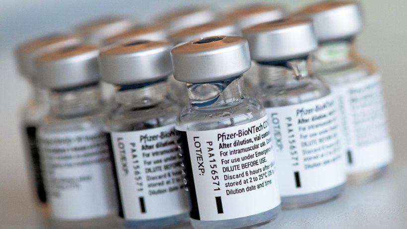 Corona: Germany waives 558,000 vaccine doses