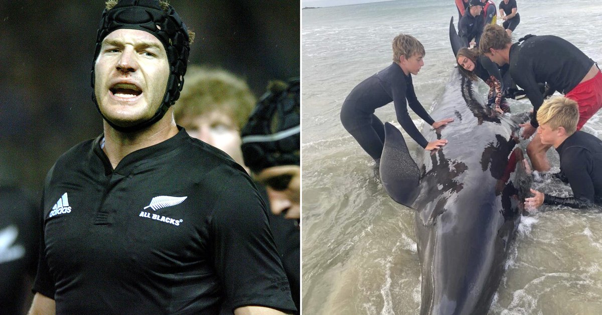 A former All Blacks player helped save a whale in New Zealand, and the video sparked controversy