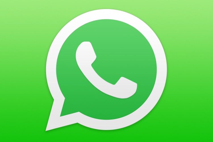WhatsApp: Finally, there are no restrictions for those who do not accept the new terms of use
