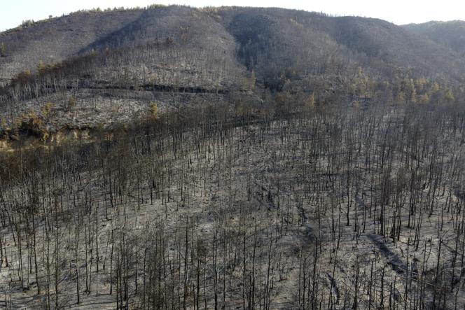 A mountain burned as a result of a forest fire in the village of Papadis, on the island of Evia, 160 kilometers (by road) north of Athens, on August 10, 2021.
