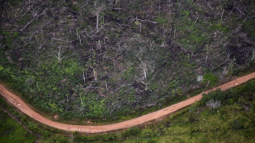 Promise 'simply moved' to 2030, criticizes NGO to protect forests