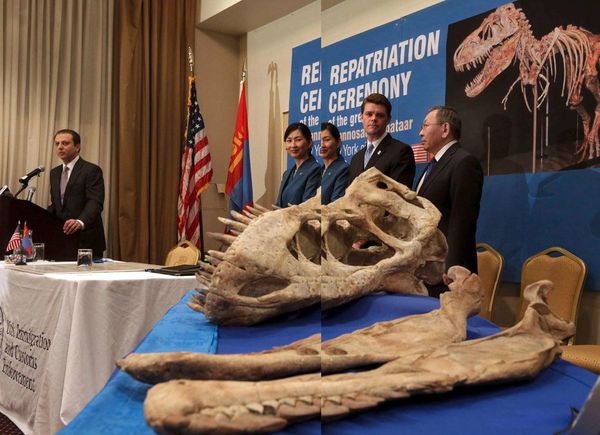 Fossil smuggling: the end of unscrupulous archaeologists?
