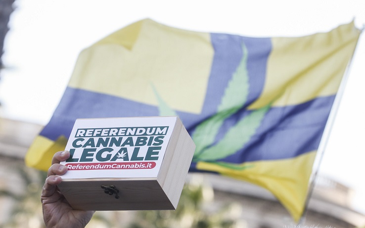 Referendum sulla cannabis, Lega e Fratelli d'Italia potrebbero fermarlo