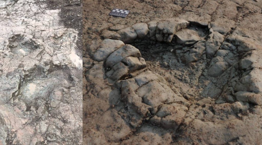 Dinosaur footprints from 200 million years ago were found on the coast of Wales