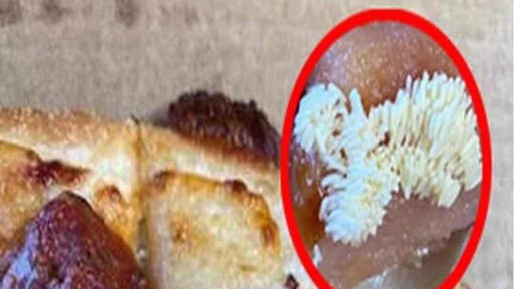 A New Zealander discovered bugs in Domino's Pizza, and the picture spread very quickly