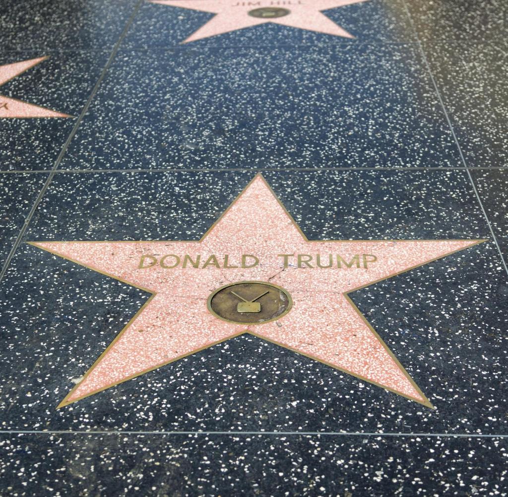 Terrizzo crime: Trump star on the Hollywood Walk of Fame