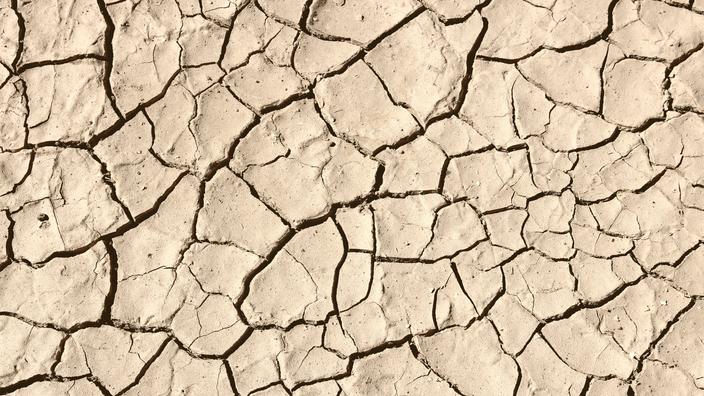 L'ouest des États-Unis et le nord du Mexique sont victimes depuis 2000 d'une sécheresse exceptionnelle.