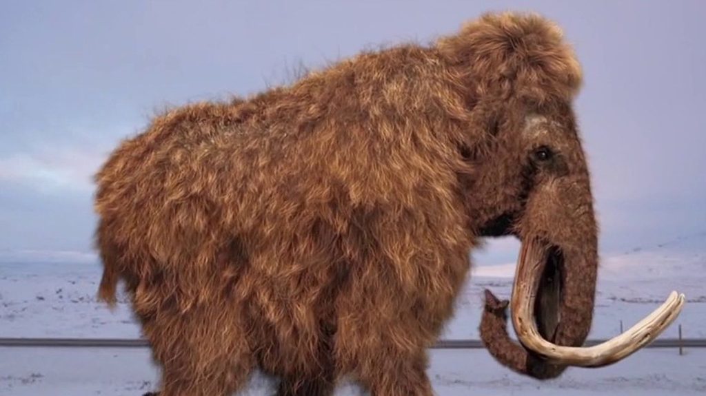 An American biogenetics company wants to revive mammoths