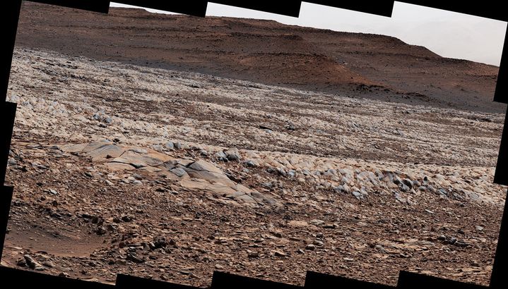 rocks "crocodile" On Mars, March 15, 2022 (NASA/JPL-CALTECH/MSSS)