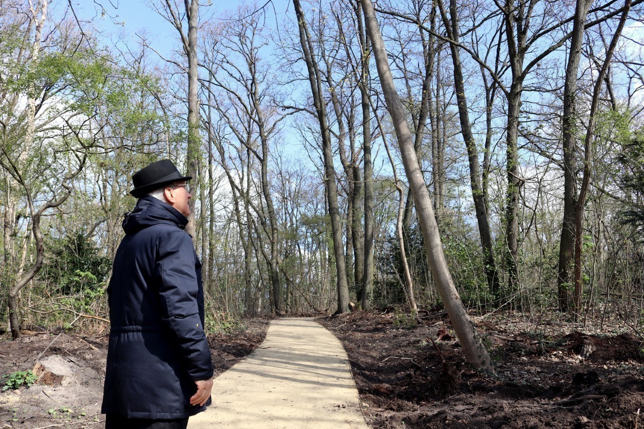 Beauchamp.  Bois Barrachin: “It’s great to discover this preserved green space! »