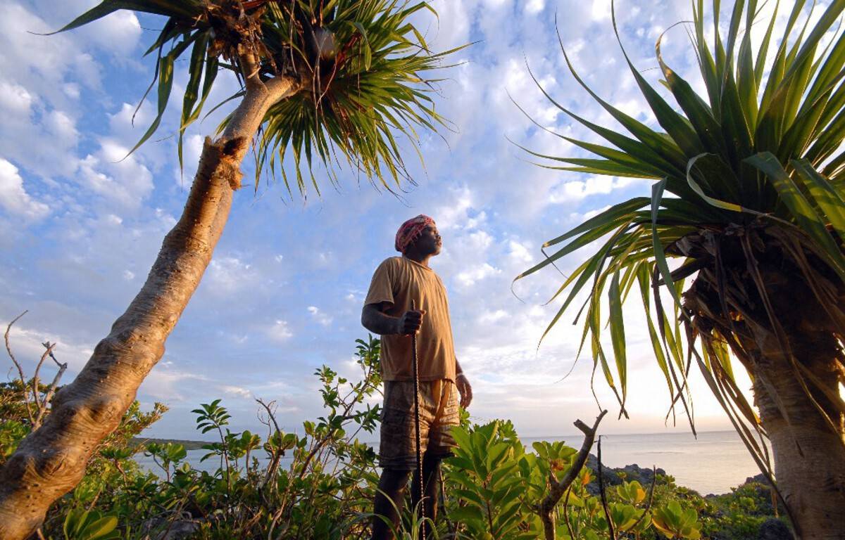 Fifteen earthquakes in one day off the Loyalty Islands