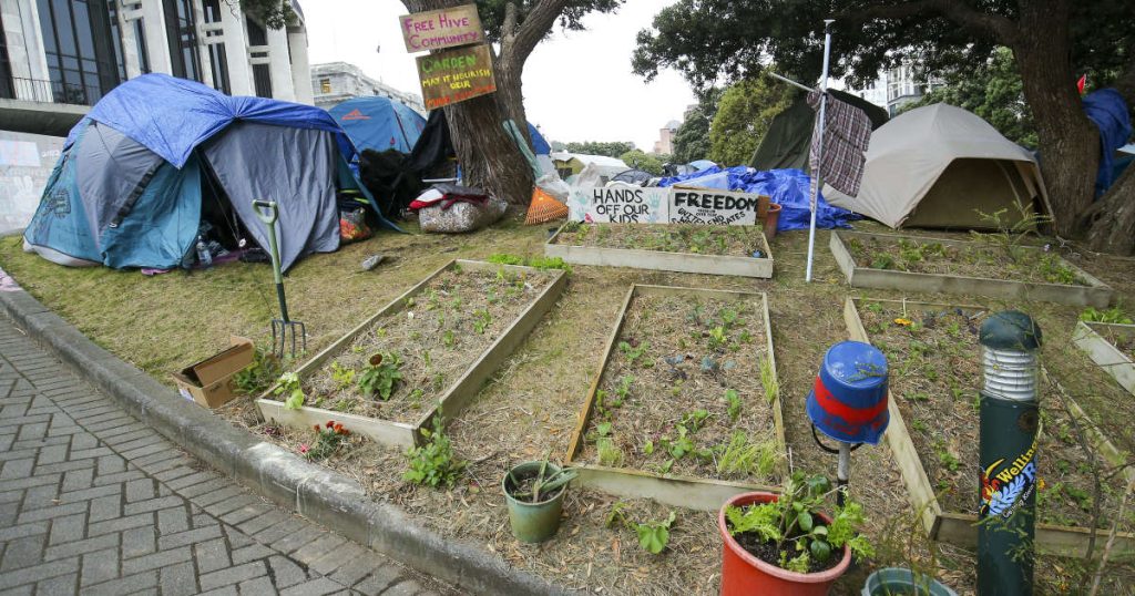 In New Zealand, protesters grow cannabis in Parliament Gardens
