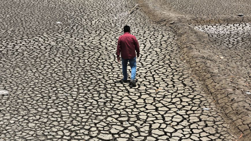 In India, a man walks on land given by heat waves in May 2022.