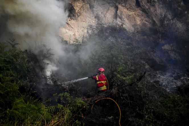 Firefighters battle a blaze near Baiao, northern Portugal, on July 15, 2022.
