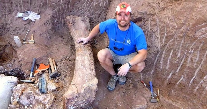 A new species of giant carnivorous dinosaur has been discovered in Argentina