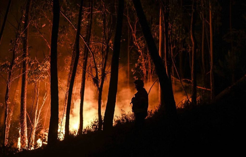 Portugal is suffocating and forest fires multiply