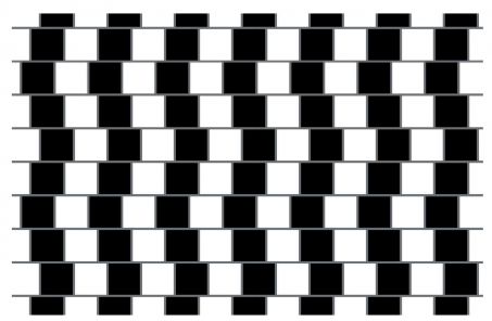 In this optical illusion, called cafe wall, all straight lines appear distorted even though they are perfectly parallel.  The effect results from their interaction with the black squares.  Credit: WIKIMEDIA COMMONS