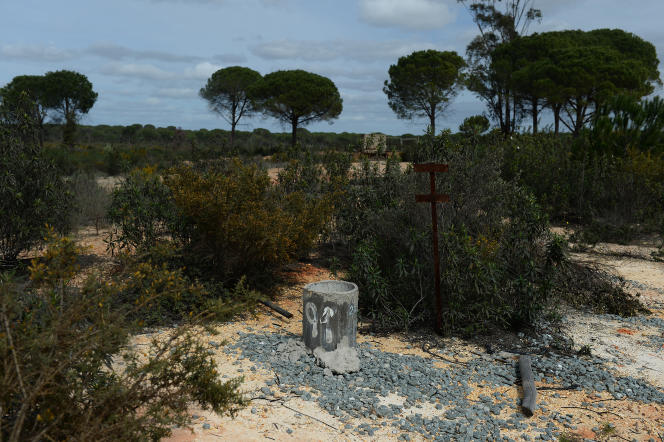 A well in Lucena del Puerto, in Huelva province, Spain, on March 5, 2020.