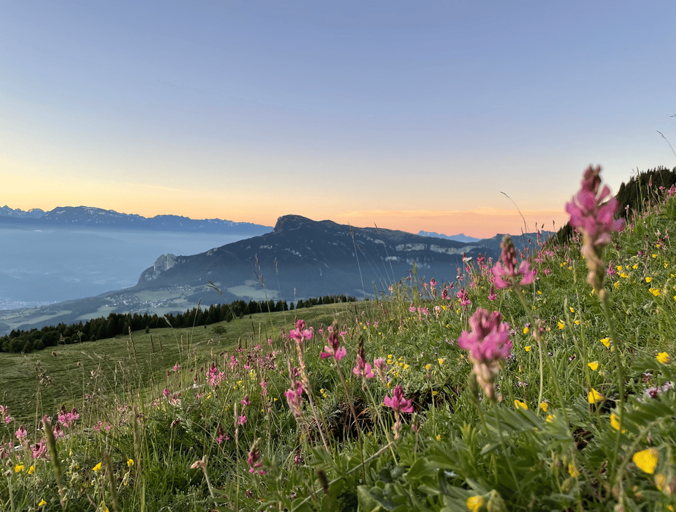 Vercors: intermediaries in the civil service of La Molière-Sornin