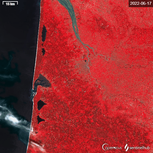 Thanks to Sentinel-2, a series of Earth observation satellites from the European Space Agency, the massive fire devastation in the Gironde landscape can be observed day in and day out from the sky.
