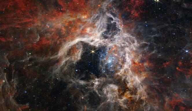 The James Webb Telescope Infrared Camera (NIRCam) shows the star-forming region of the Tarantula Nebula in new light and tens of thousands of young, never-before-seen stars, so far enveloped in cosmic dust.  