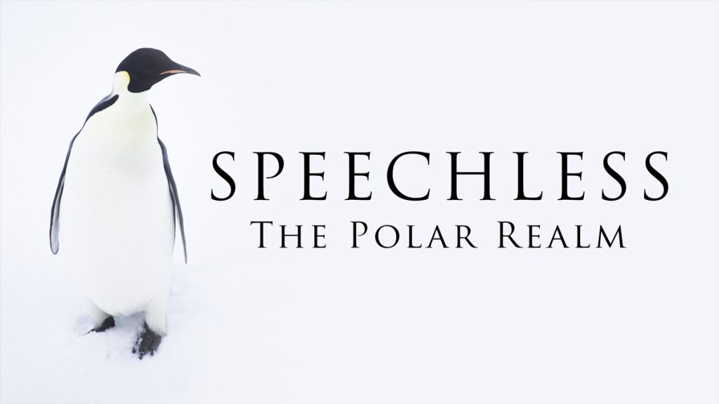 [Film] Speechless Arctic Kingdom: Free entry 24 hours a day