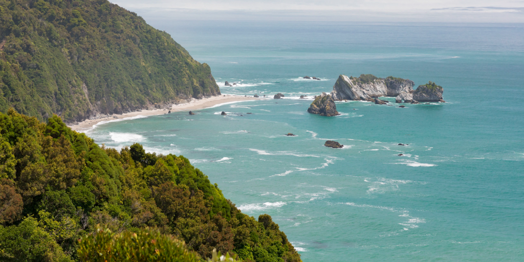 New Zealand is looking for candidates to protect the kiwifruit