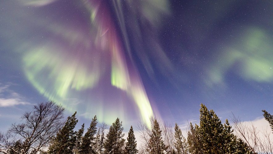 Solar storm pierced Earth's magnetic field: the aurora borealis turn pink, a stunning sight