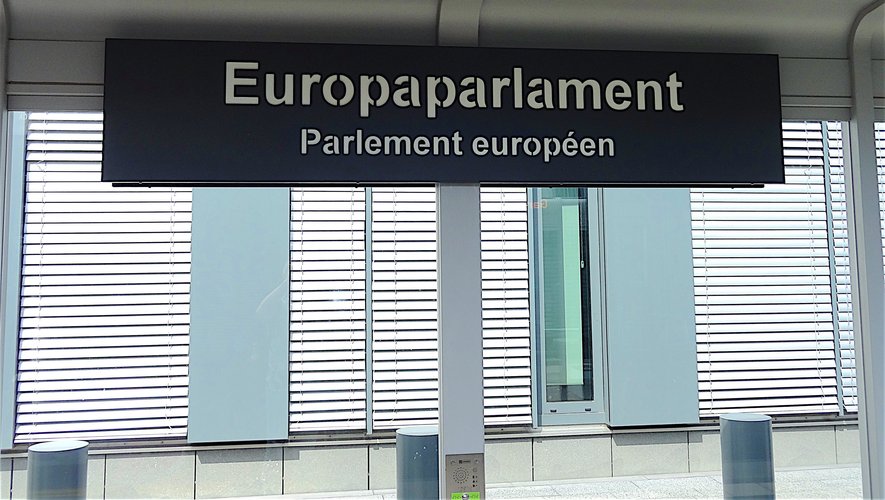Qatar's suspicions of corruption in the European Parliament: an inspection of 600 thousand euros... What we know about the case