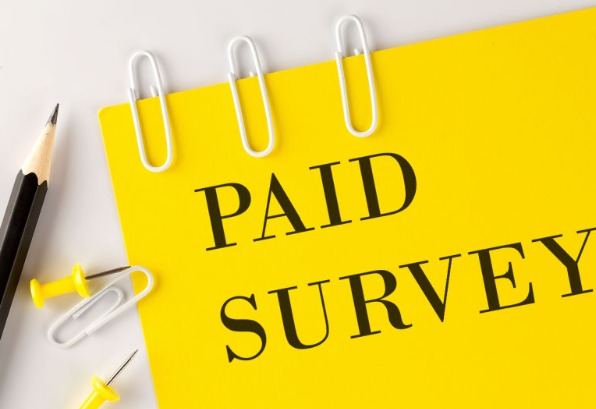 My Experience: A Month of Paid Surveys – How Much Did I Make?